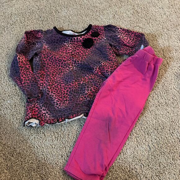 4 Piece LOT of Baby Girls Size 24 Months Winter Tops & Bottoms Hooded Jacket - Picture 10 of 15